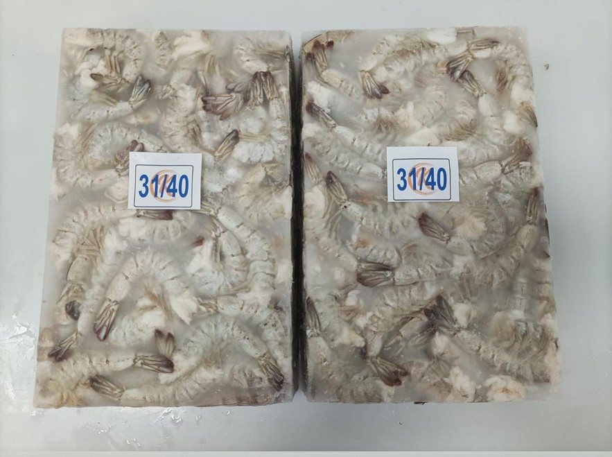 Frozen Vannamei shrimp prepared for export