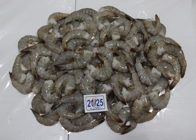 Fresh raw shrimp