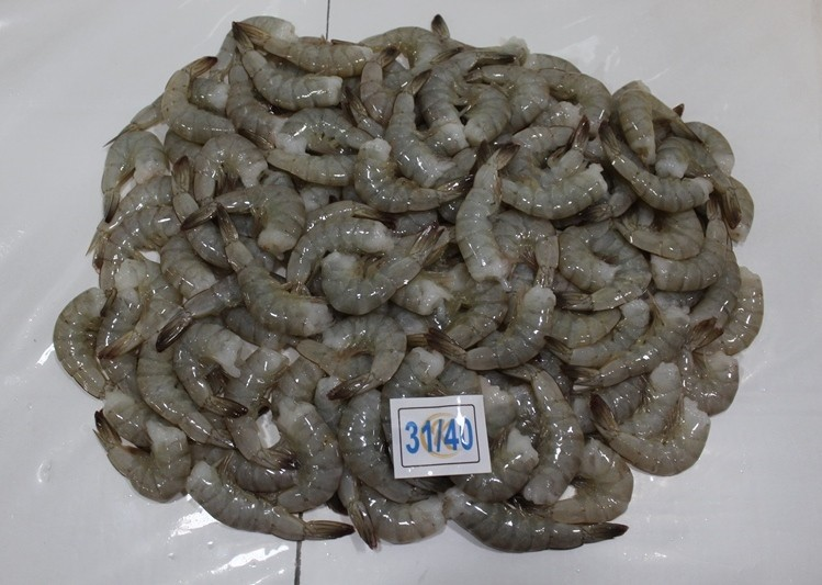 Farm-raised Vannamei shrimp